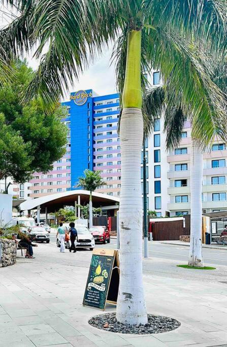 Mirador Paraiso: Superb Sea View 帕莱索海滩 外观 照片