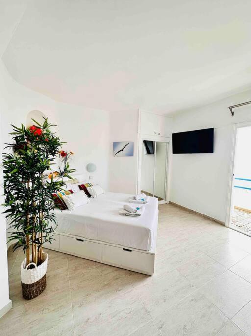 Mirador Paraiso: Superb Sea View 帕莱索海滩 外观 照片